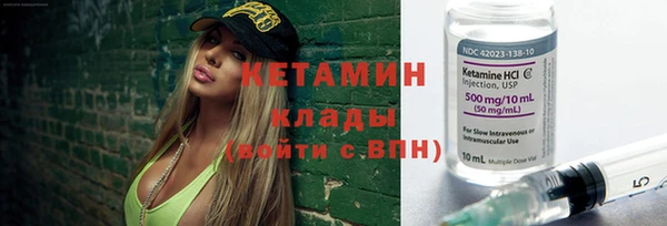 шишки Осташков