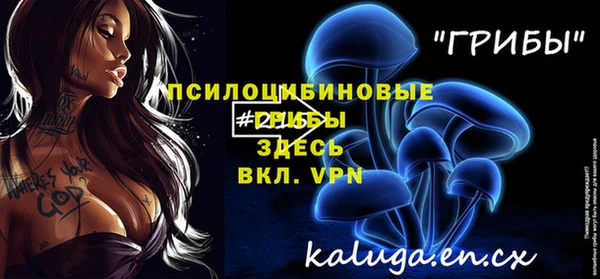 гидра Балахна
