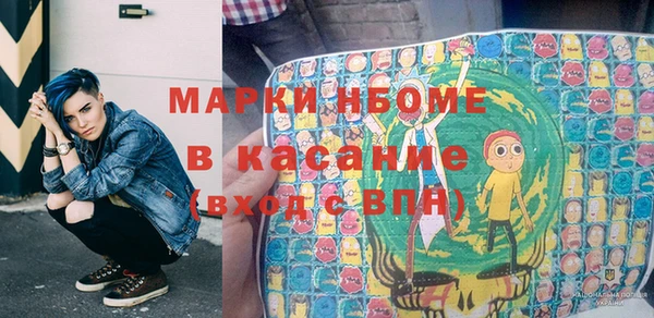 шишки Осташков