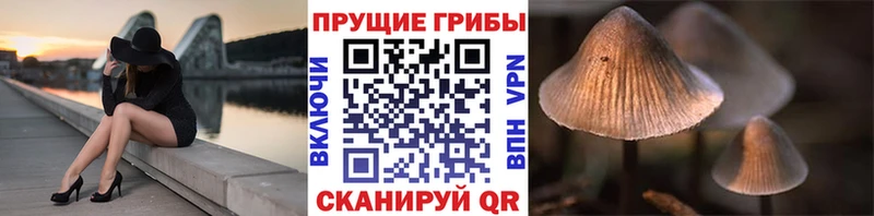 Псилоцибиновые грибы MAGIC MUSHROOMS  Грязи 